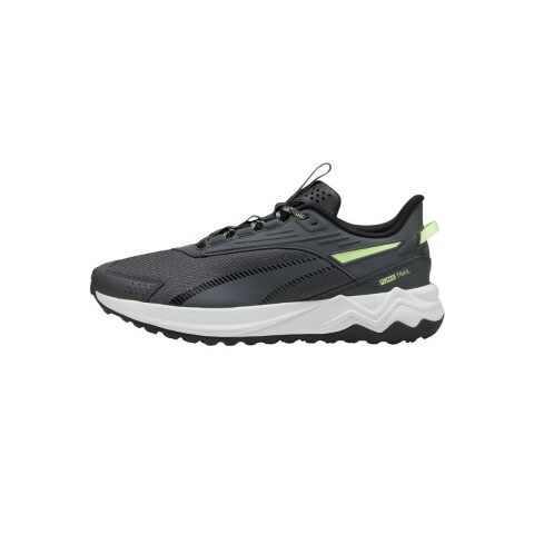 CHAMPION 40-45 GRIS