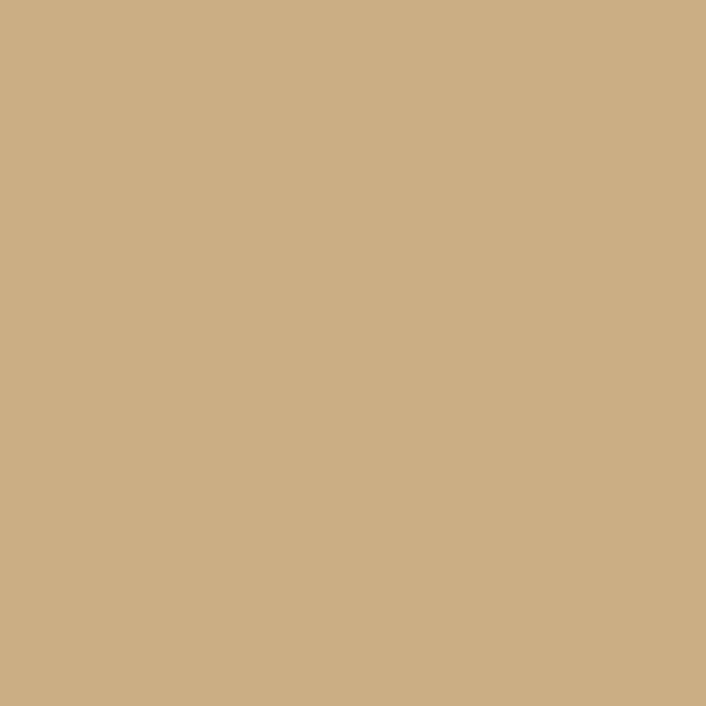 PASTINA WEBER CLASSIC COLOR CHAMPAGNE x 2 kg Pastina Weber Classic Color Champagne X 2 Kg