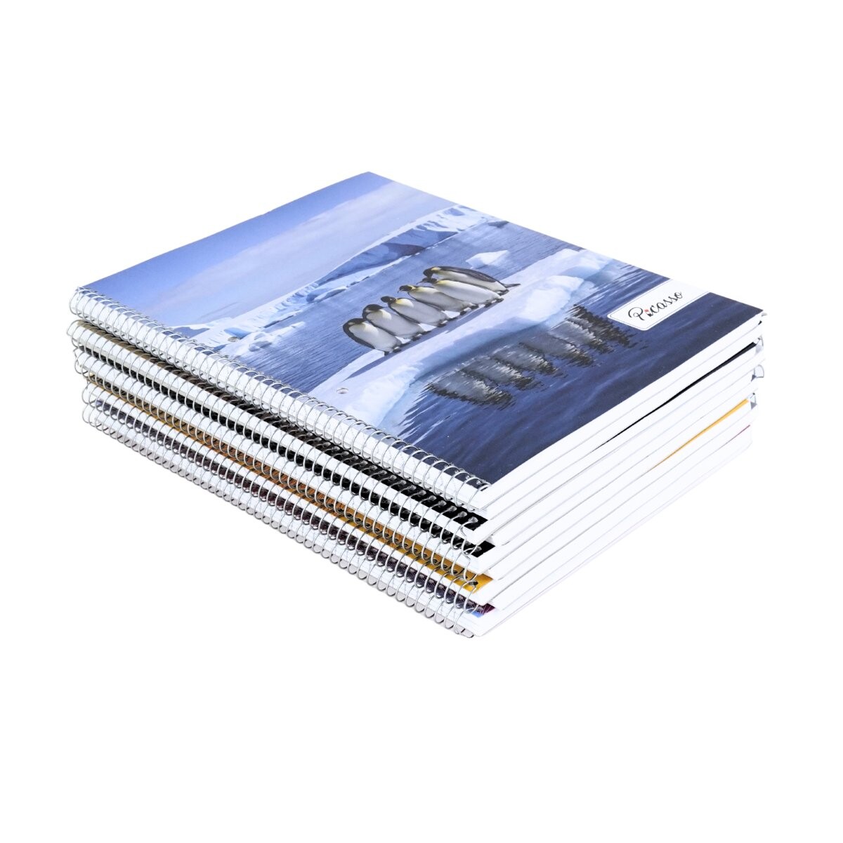 Pack de 10 cuadernolas Picasso 96 hojas tapa flexible 