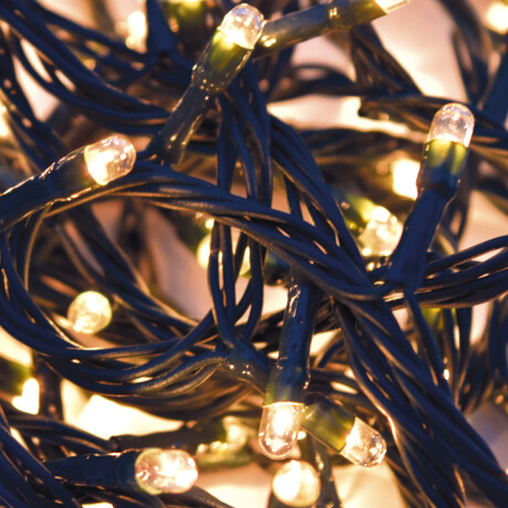 Luces arroz, 100 luces Luces arroz, 100 luces