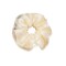 Colero individual Beige