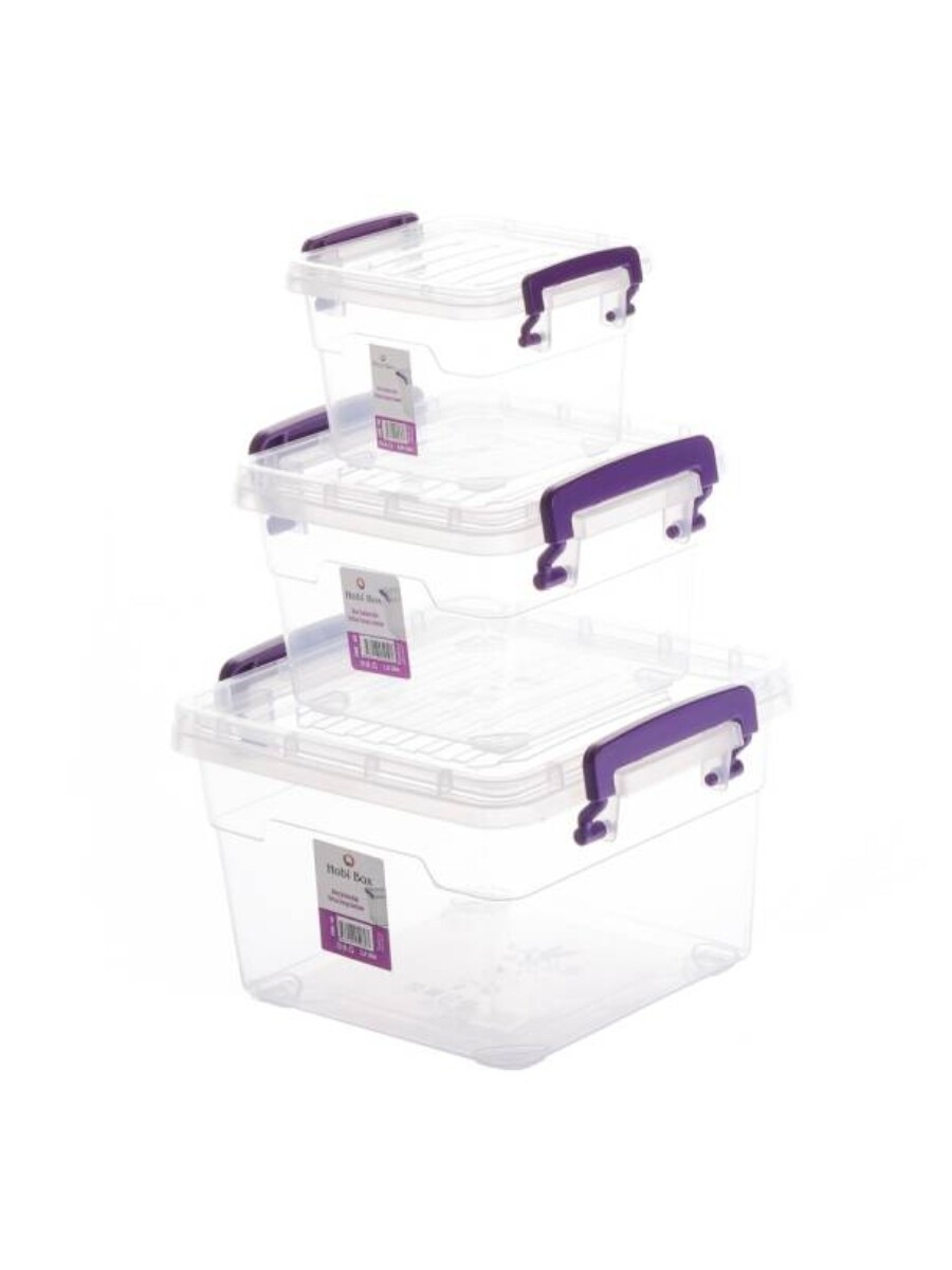 SET DE ORGANIZADORES transparente