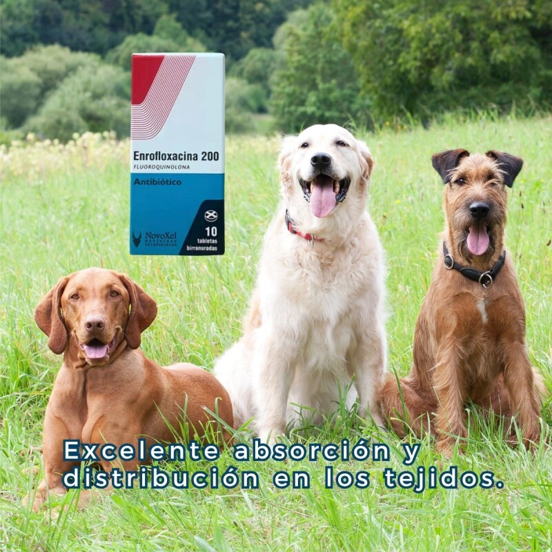 ENROFLOXACINA 200 MG X 10 COMPRIMIDOS ENROFLOXACINA 200 MG X 10 COMPRIMIDOS
