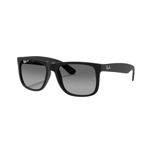 RB 4165/55 col 622T3 polarized Rb 4165/55 Col 622t3 Polarized