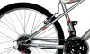 Bicicleta ALPINA MAN - Rodado 26 - Baccio Gris