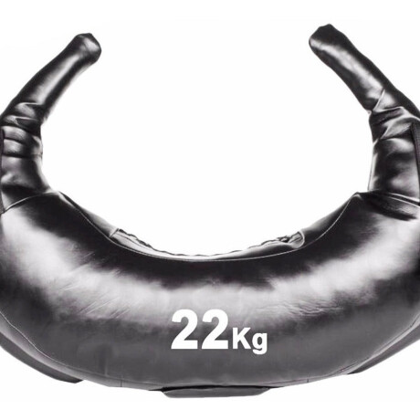 Bulgarian Bag 22Kg Expert Bolsa Saco Búlgaro Crossfit Funcional Bulgarian Bag 22Kg Expert Bolsa Saco Búlgaro Crossfit Funcional