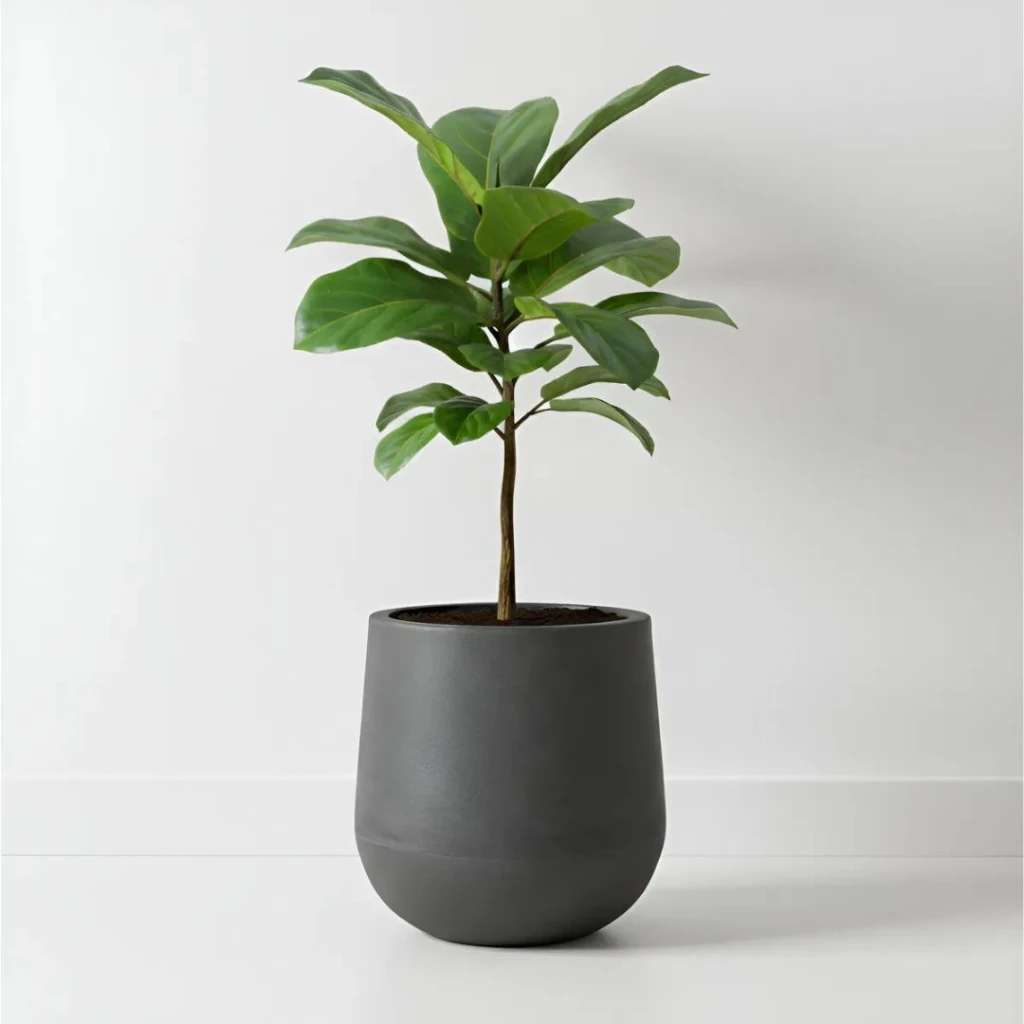 Maceta decorativa gota 4,5 litros grafito
