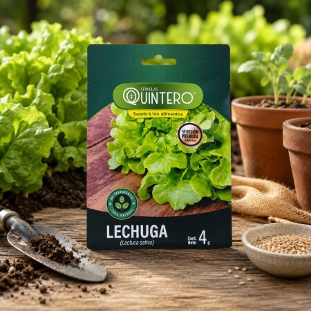 SEMILLA DE LECHUGA MANTECOSA WHITE BOSTON 4 GRAMOS SEMILLA DE LECHUGA MANTECOSA WHITE BOSTON 4 GRAMOS