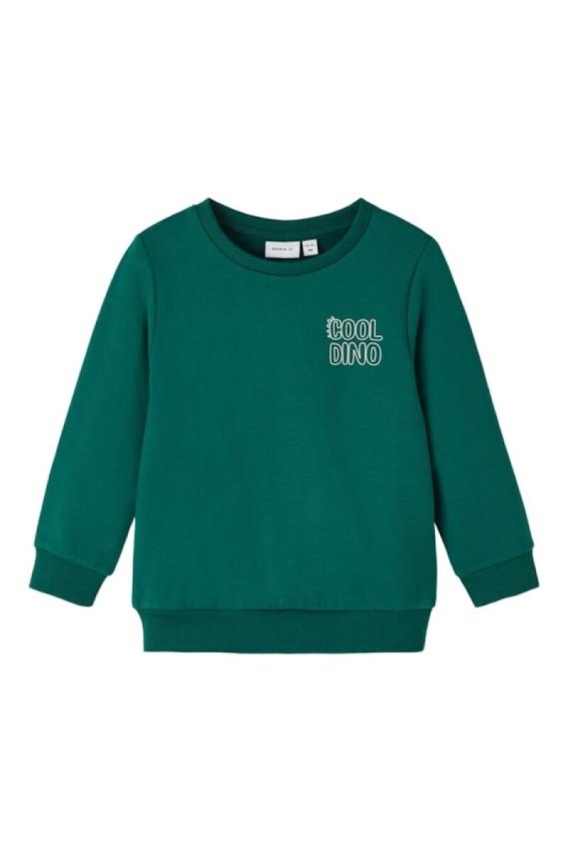 Sudadera Toms - Forest Biome 