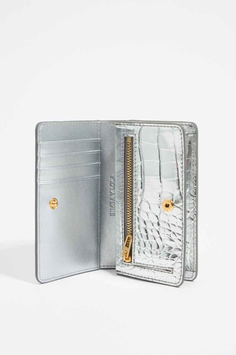 CARTERA Plata