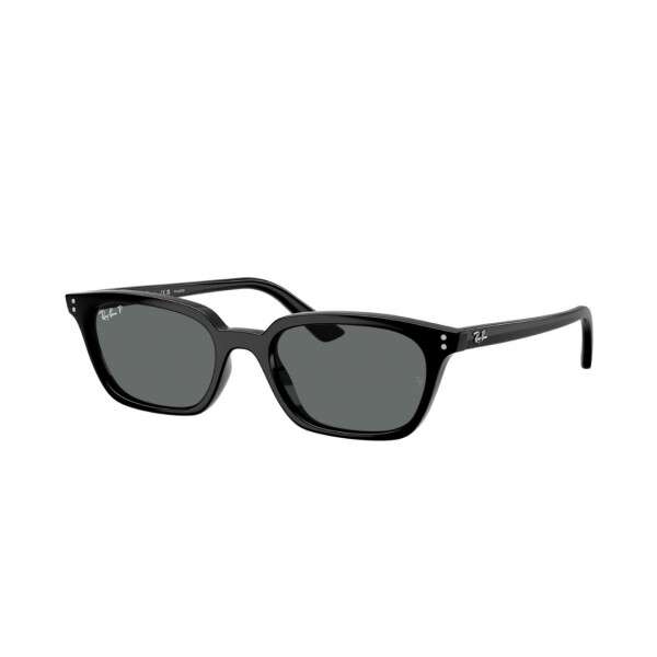 RB 4456/53 col 667781 polarized Rb 4456/53 Col 667781 Polarized