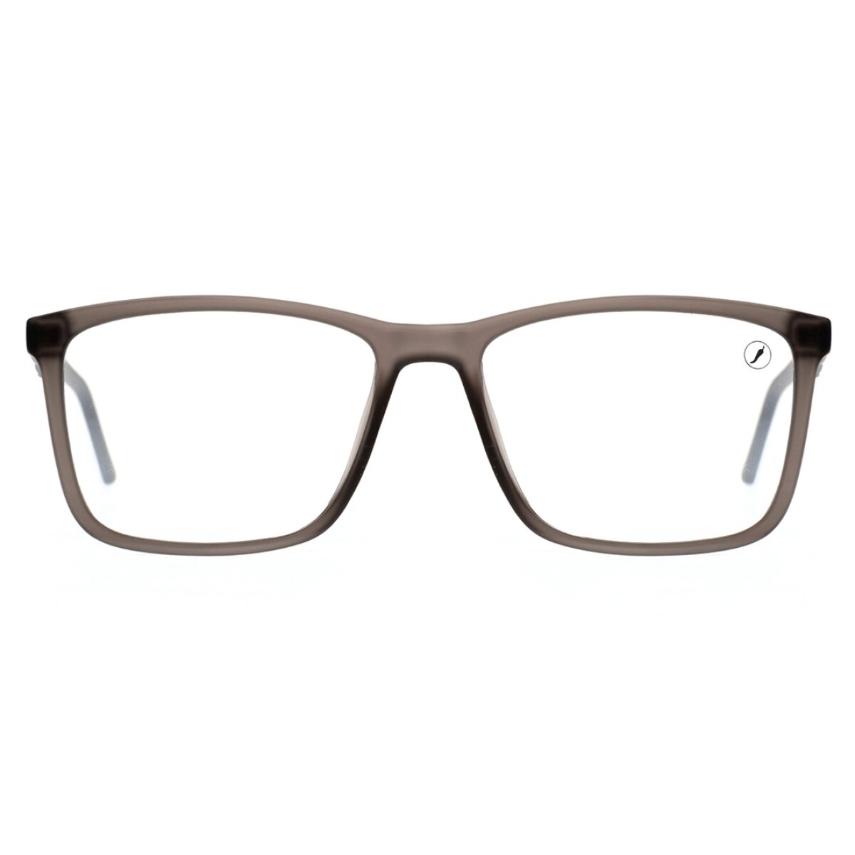 Armazón Chilli Beans Blumenau - Gris 