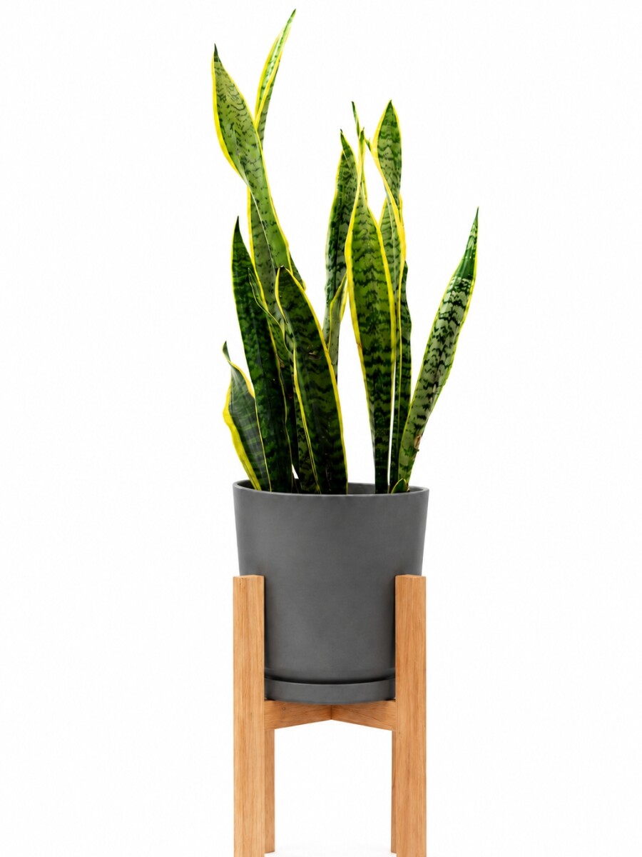 MACETA CERAMICA GRANDE CON SOPORTE BAJA GRIS OSCURO
