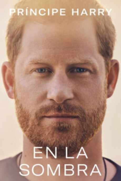 EN LA SOMBRA EN LA SOMBRA