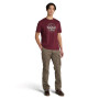 Polo Mountain Graphic Manga Corta Hombre Burgundy