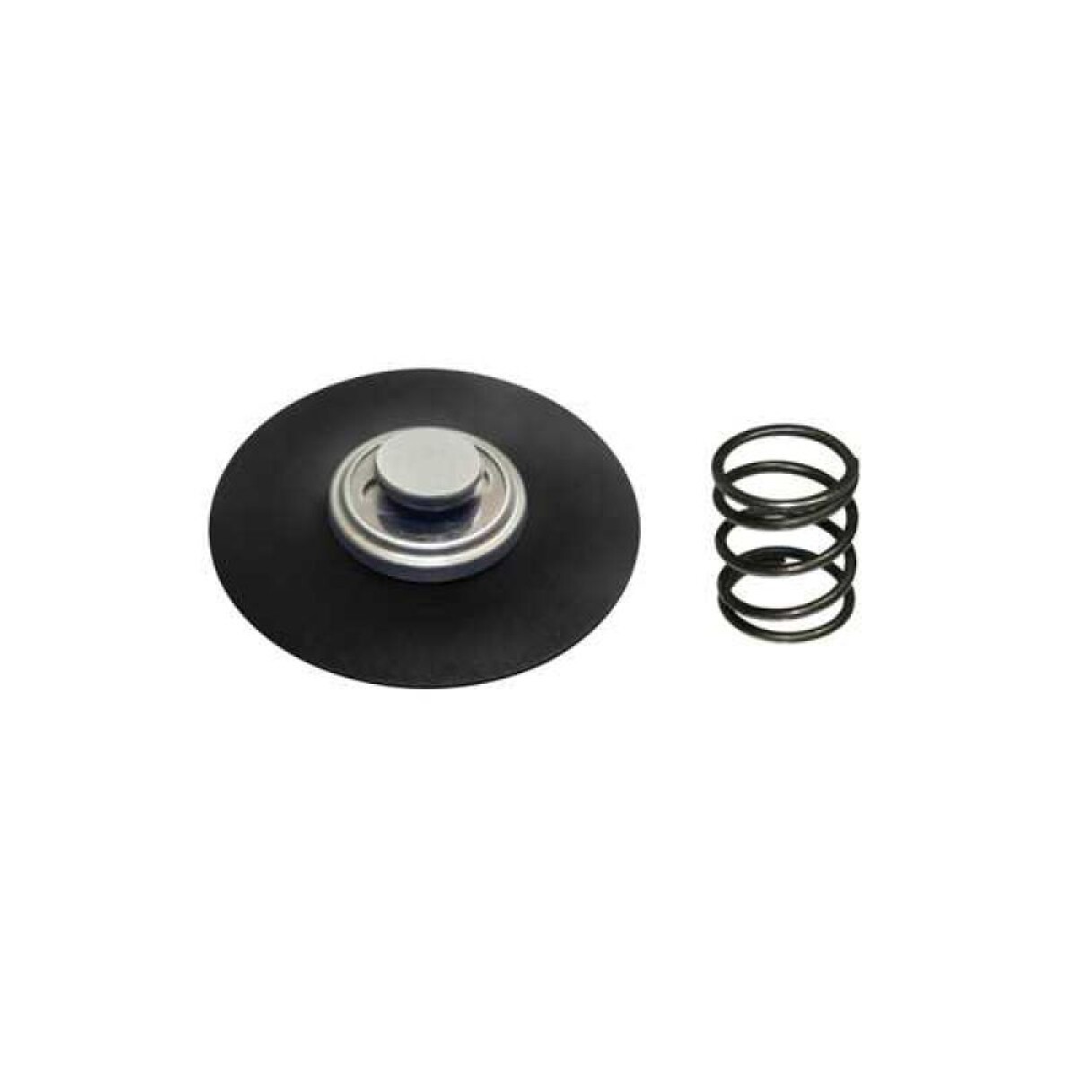 INYECCION PARTES - DIAFRAGMA C/RESORTE REP PRESION GOLF 106FIAT BOSCH - 