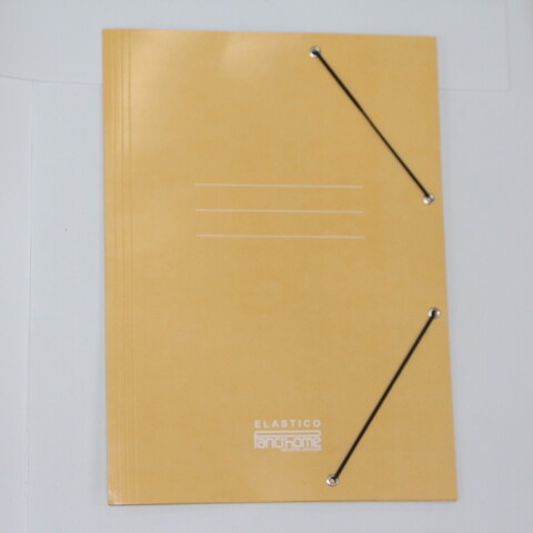 CARPETA PANCHROME CON ELASTICO 307 COLOR BEIGE CARPETA PANCHROME CON ELASTICO 307 COLOR BEIGE