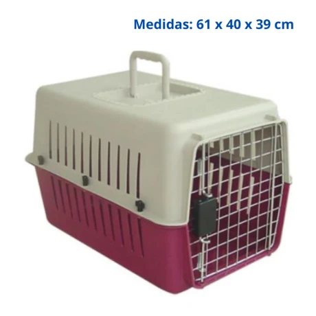 TRANSPORTADORA Transportadora