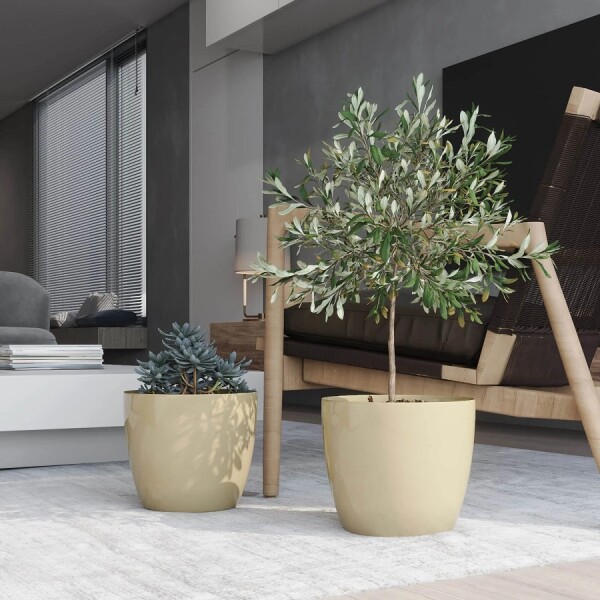 Macetero Premium N22 Beige 19.6cm Alto x 22 Diam Boca, 5,3 lts Macetero Premium N22 Beige 19.6cm Alto x 22 Diam Boca, 5,3 lts