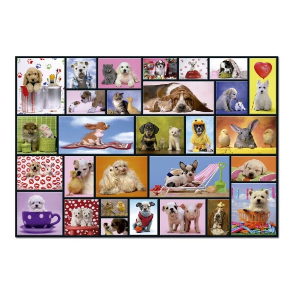 Puzzle Educa Rompecabeza Momentos Animales 1000 Piezas Puzzle Educa Rompecabeza Momentos Animales 1000 Piezas