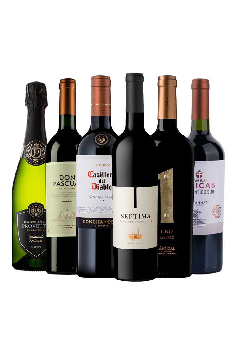 Pack Bacán Selección Bacanazo Fin de Año x6 vinos con carácter más un espumante 