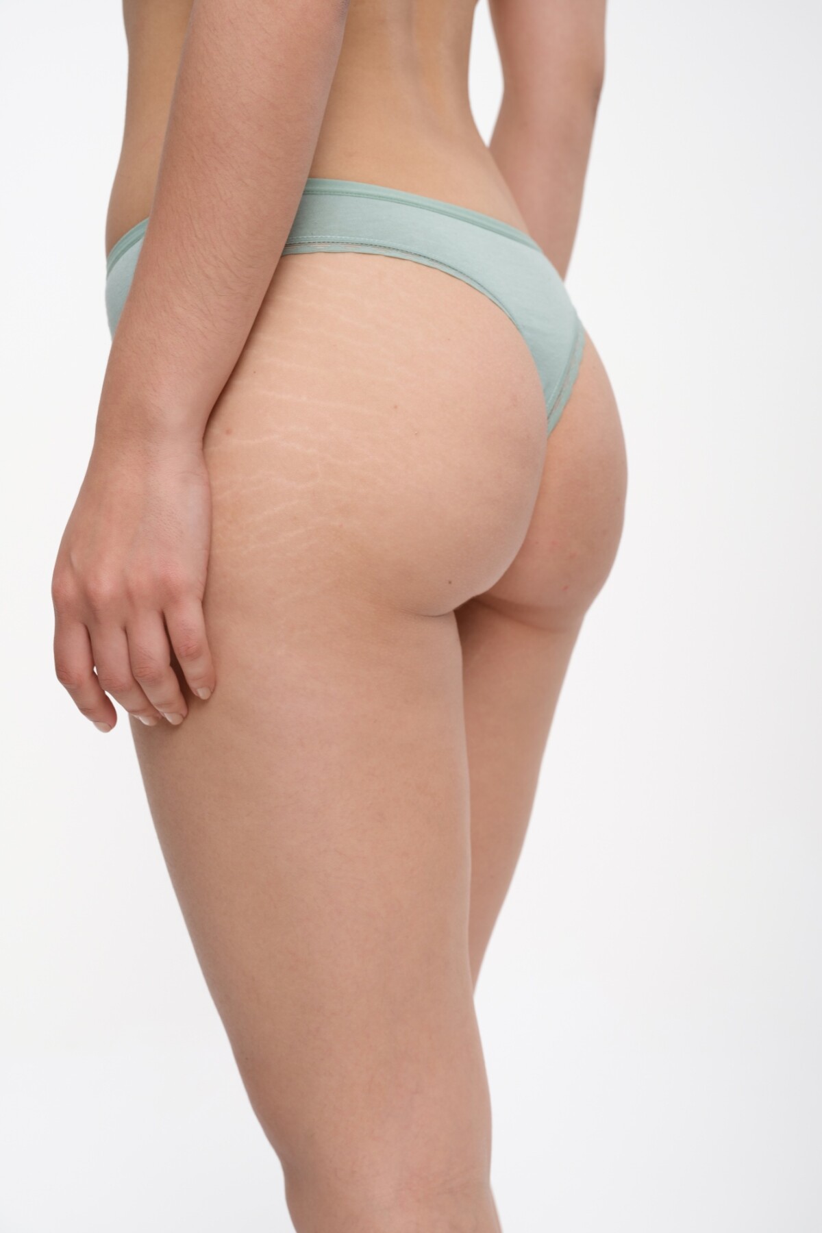 Colaless Dafne Verde