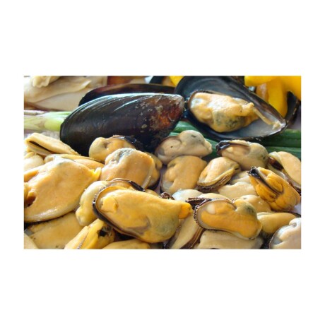 Congelados Ártico Carne de Mejillón Chileno 200/300 1 KG 001