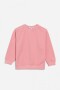 Sweatshirt cuello a la base CORAL