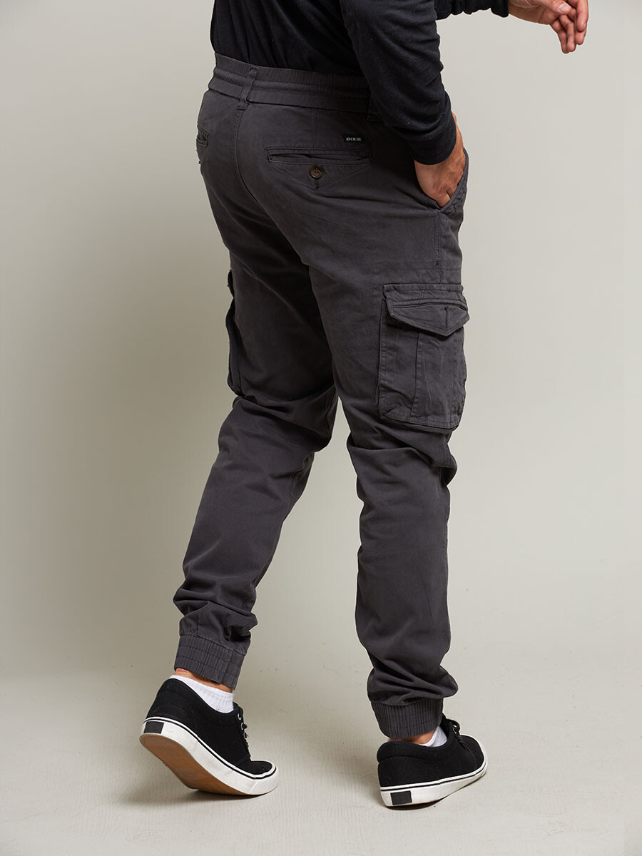 PANTALON CARGO WALDORF DIXIE Gris