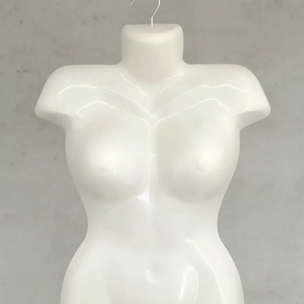 Percha Medio Cuerpo Dama Maniquí Para Exibición Percha Medio Cuerpo Dama Maniquí Para Exibición