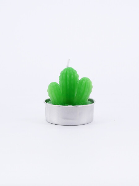 SUCULENTA VELA VARIOS CACTUS VERDE