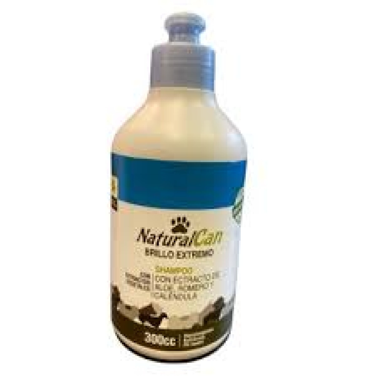 SHAMPOO BRILLO EXTREMO 