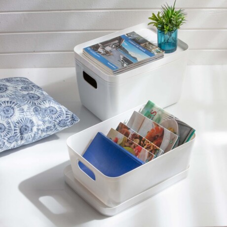 Cesto Organizador c/Tapa Idealle Canasto Plástico 27x18x12Cm Gris