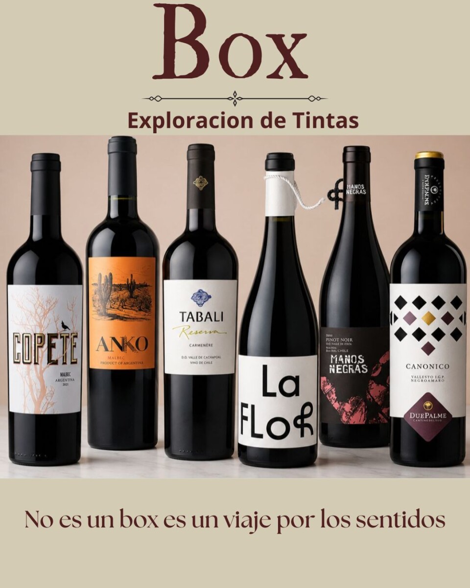 Box Exploración tintas 