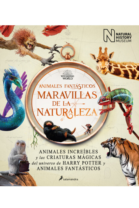 ANIMALES FANTASTICOS MARAVILLAS DE LA NATURALEZA ANIMALES FANTASTICOS MARAVILLAS DE LA NATURALEZA