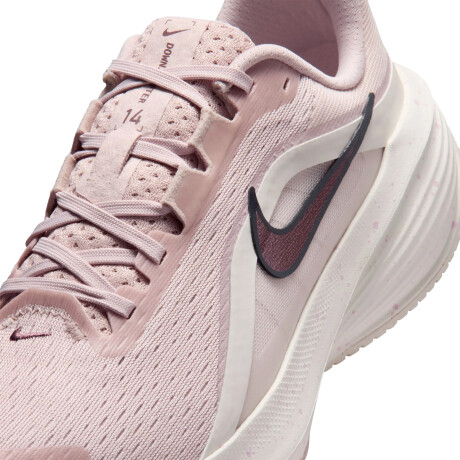Championes Nike Downshifter 14 600