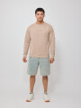 SWEATER AISOR RUSTY Beige