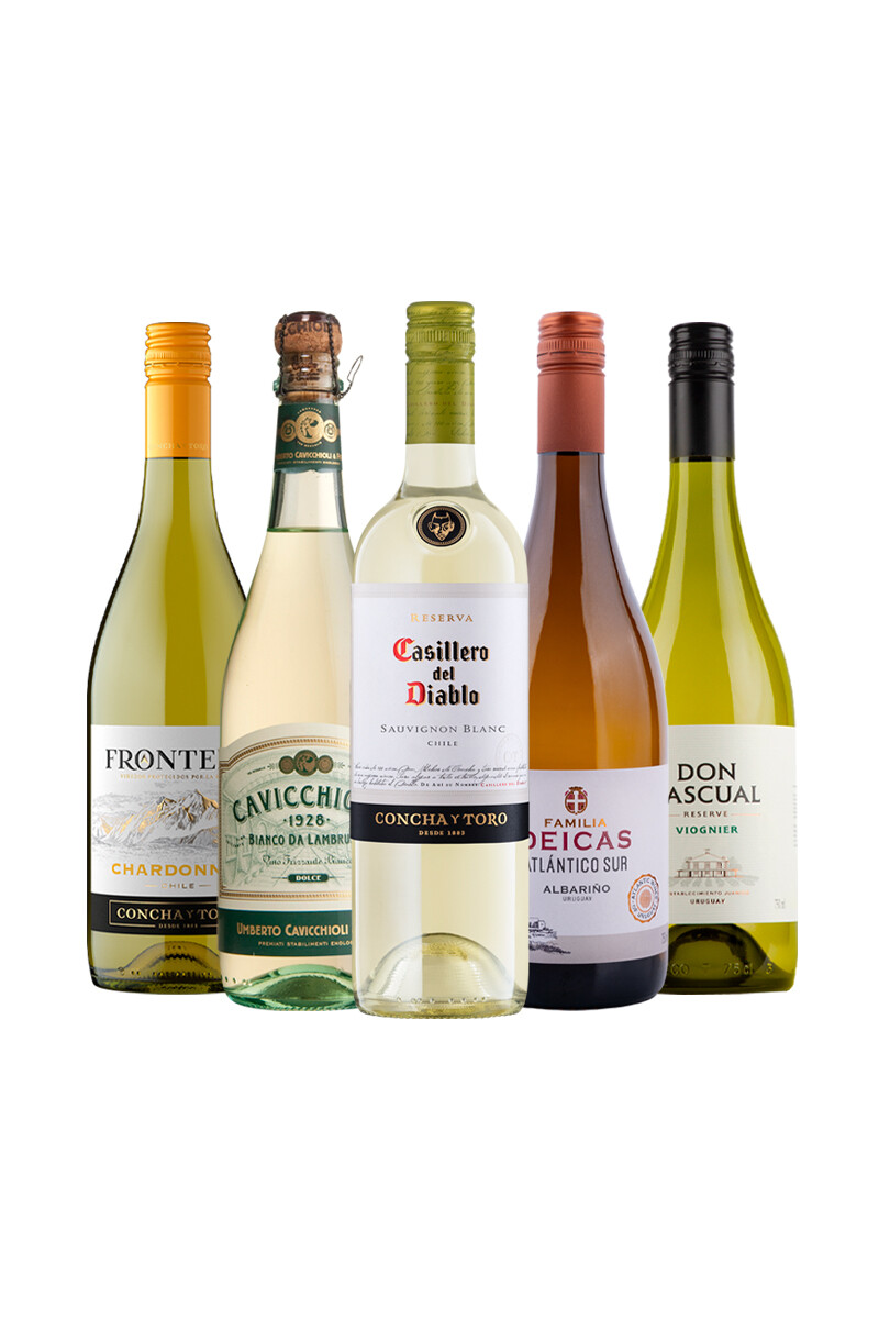 Pack Bacán Selección Dias Claros x5 vinos 
