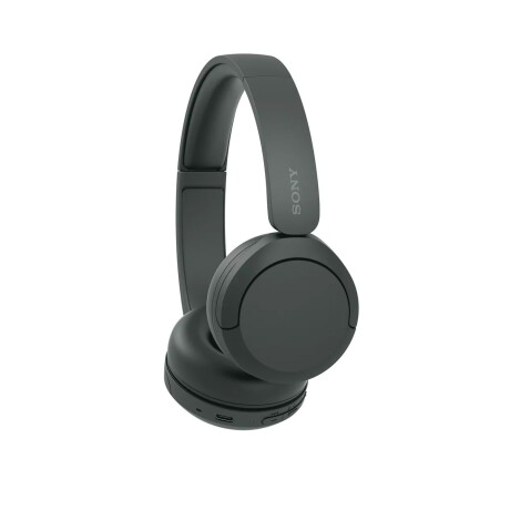 Auriculares Sony Wh-Ch520 Negro