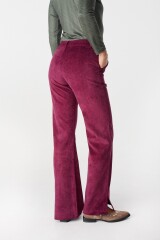 Pantalon Turin Bordeaux