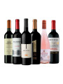 Pack Bacán Selección Wine Syles Collection x6 vinos Smooth & Classic Pack Bacán Selección Wine Syles Collection x6 vinos Smooth & Classic
