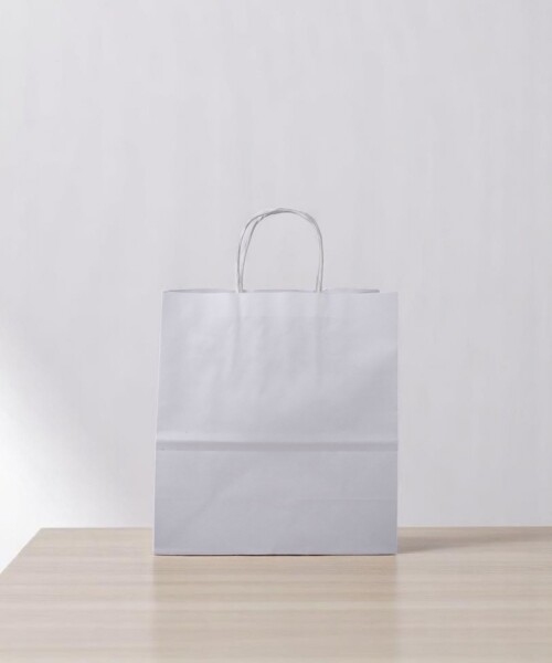 Bolsa lisa luna 22x10x24 cm BLANCO