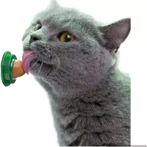 GOLOSINA PARA GATO CATNIP HIERBA GATERA GOLOSINA PARA GATO CATNIP HIERBA GATERA