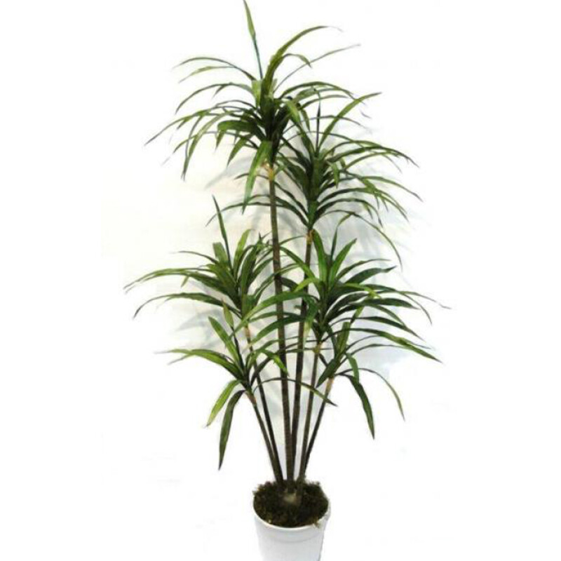 PLNATA DE YUCCA X 6 RAMAS - 1.22 MTS - GREEN PLNATA DE YUCCA X 6 RAMAS - 1.22 MTS - GREEN