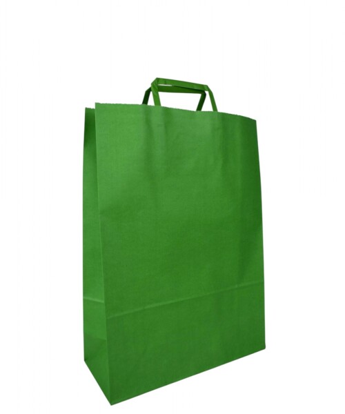 Bolsa lisa acuario 30x12x41 cm VERDE