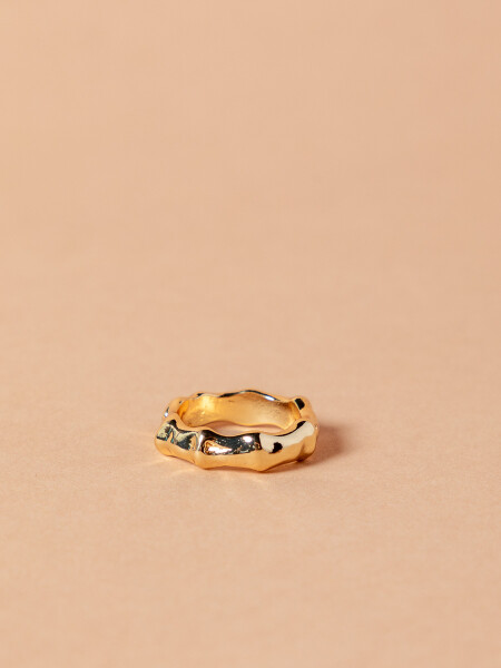 ANILLO TEXAS VARIOS
