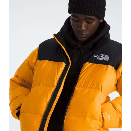 Campera de Pluma 1996 Nuptse hombre Summit Gold/tnf Black/r