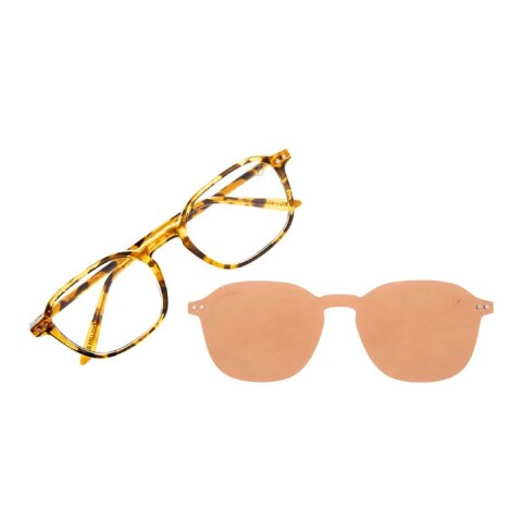 Armazón Chilli Beans Dublín más intercambiables de Sol Marrón