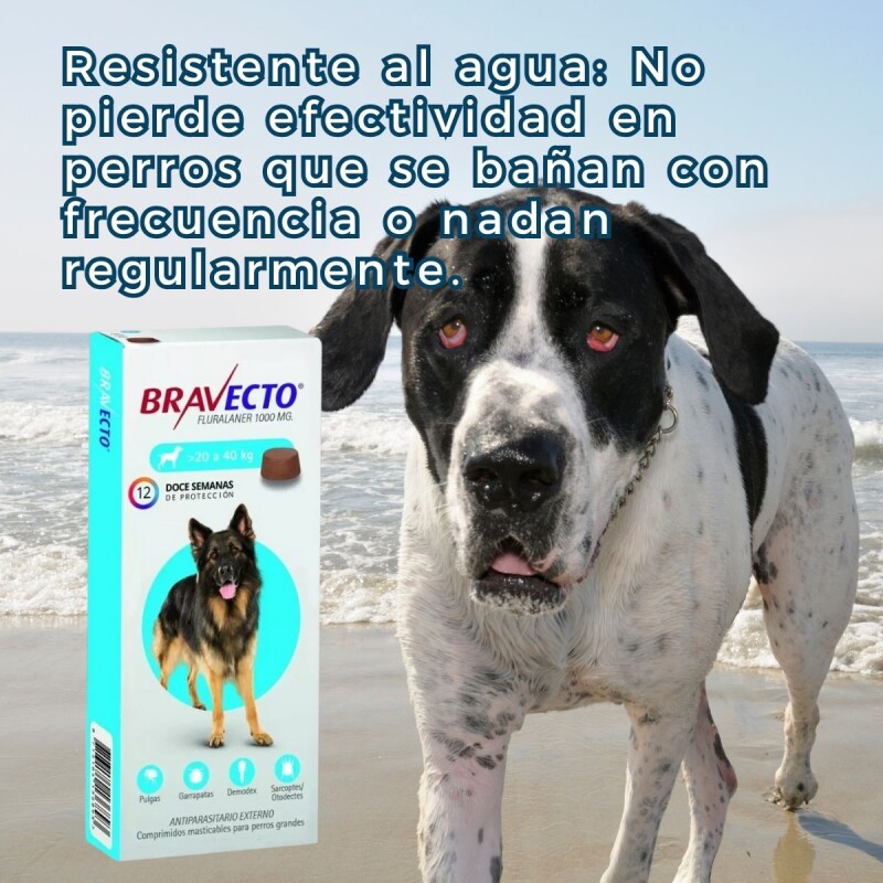 BRAVECTO ANTIPULGAS Y ANTIGARRAPATAS 20 A 40 KG