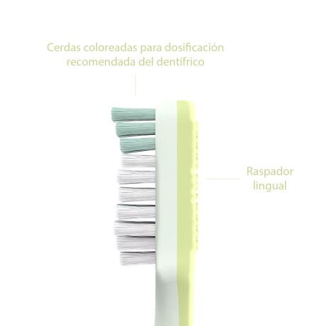 Cepillo Dental Junior +6A Suave Tapa Higiénica Verde